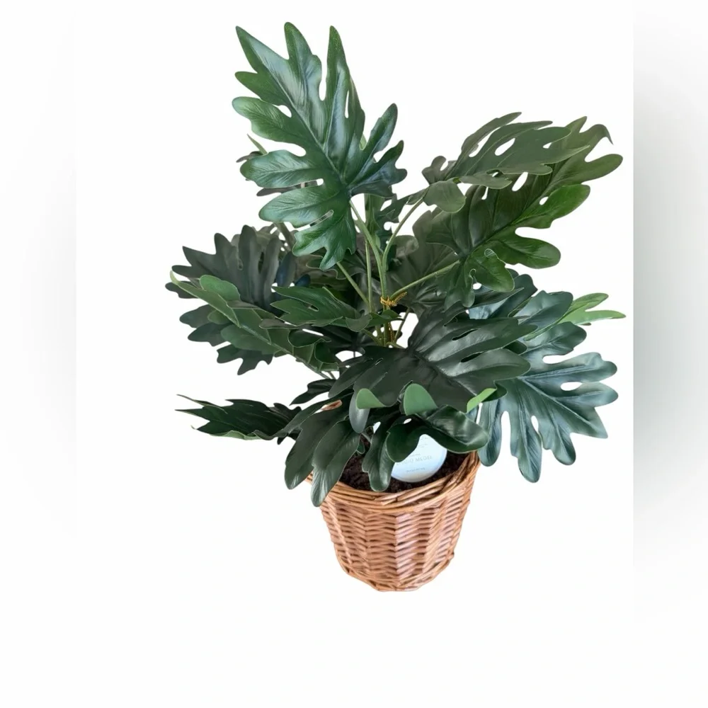 Threshold Green Faux Plant in a‎ Brown Wicker Basket